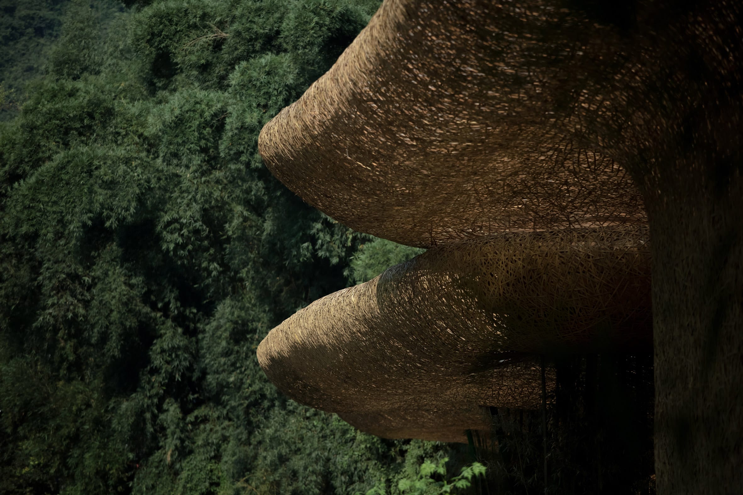 Undulating bamboo canopy by LLLab evokes its mountainous surroundings