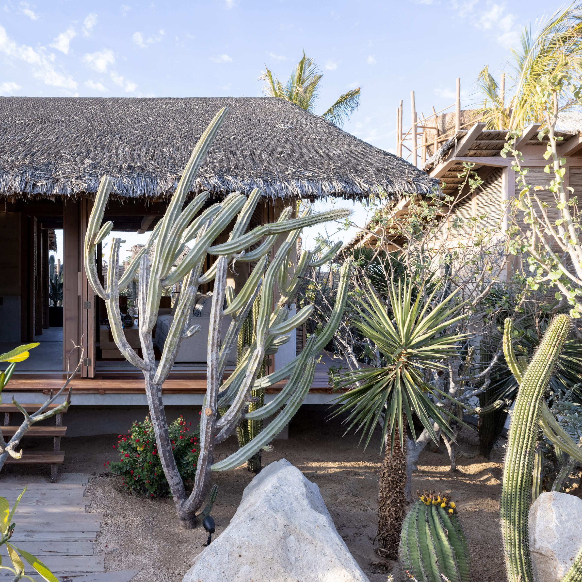 Hotel in Mexico with cactuses and thatched roof