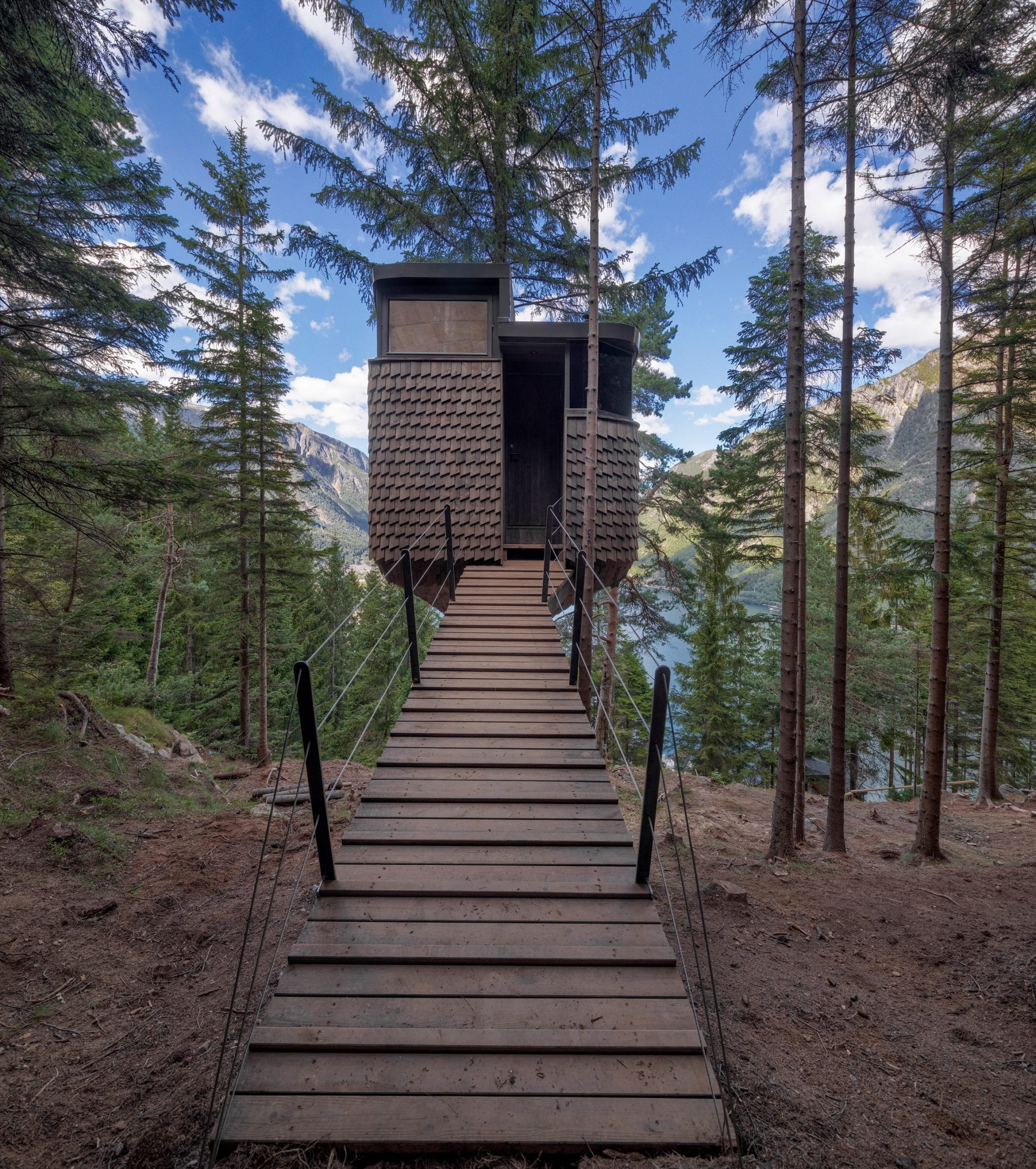 The woodnest treehouses are located in a pine forest