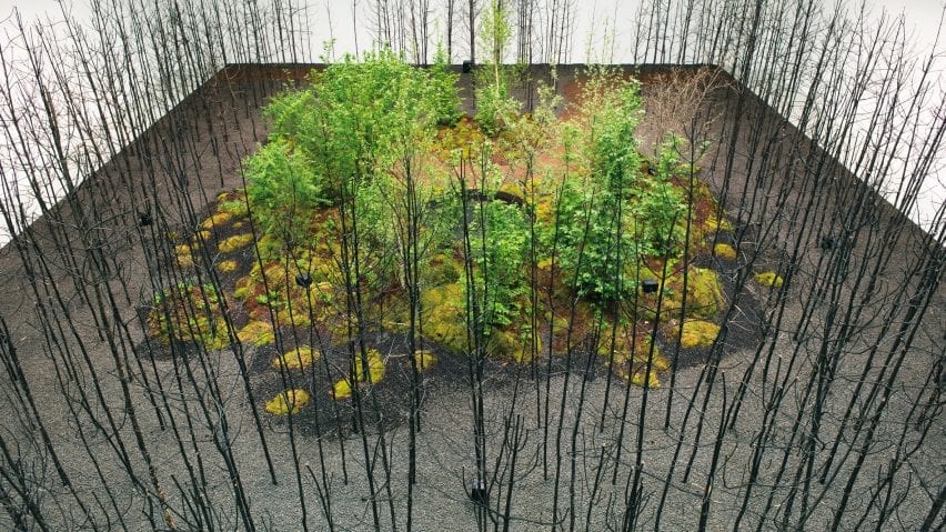 400 fire-blackened pine trees at Vienna Biennale