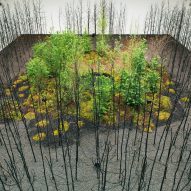 Superflux creates forest of over 400 fire-blackened pine trees at Vienna Biennale