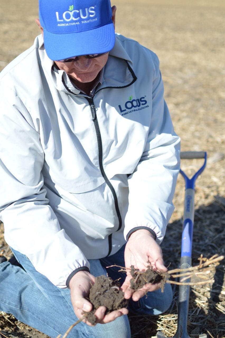 Nori farmer showing soil samples