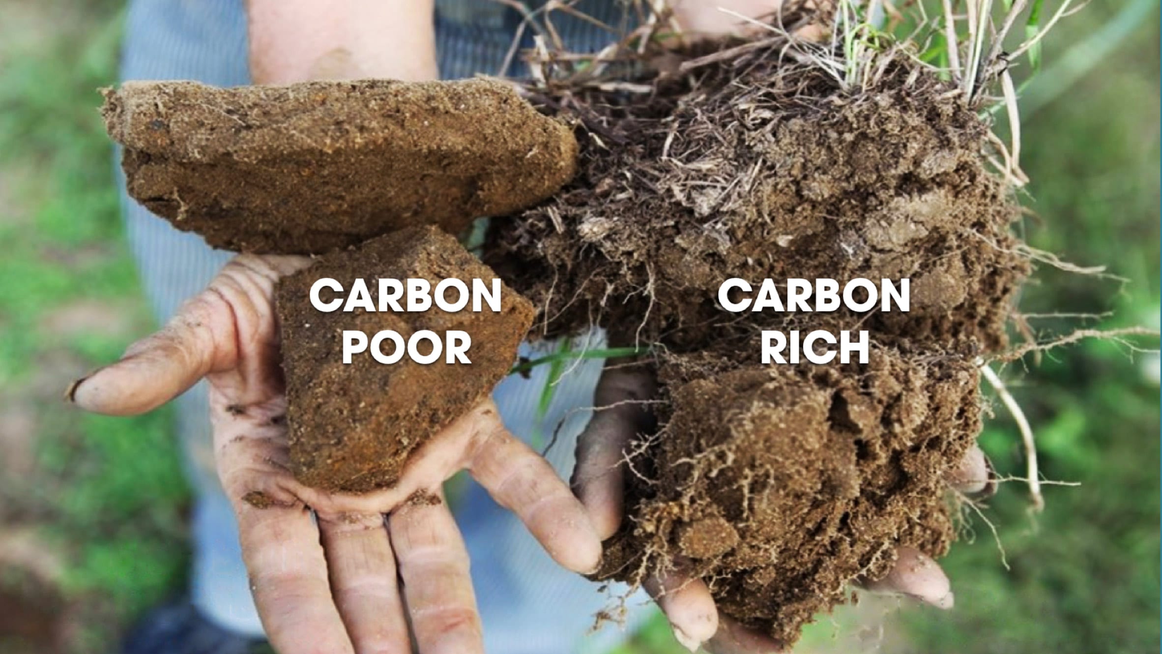 Comparison of carbon-poor and carbon-rich soil