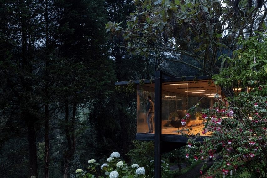 Glass house extension in forest