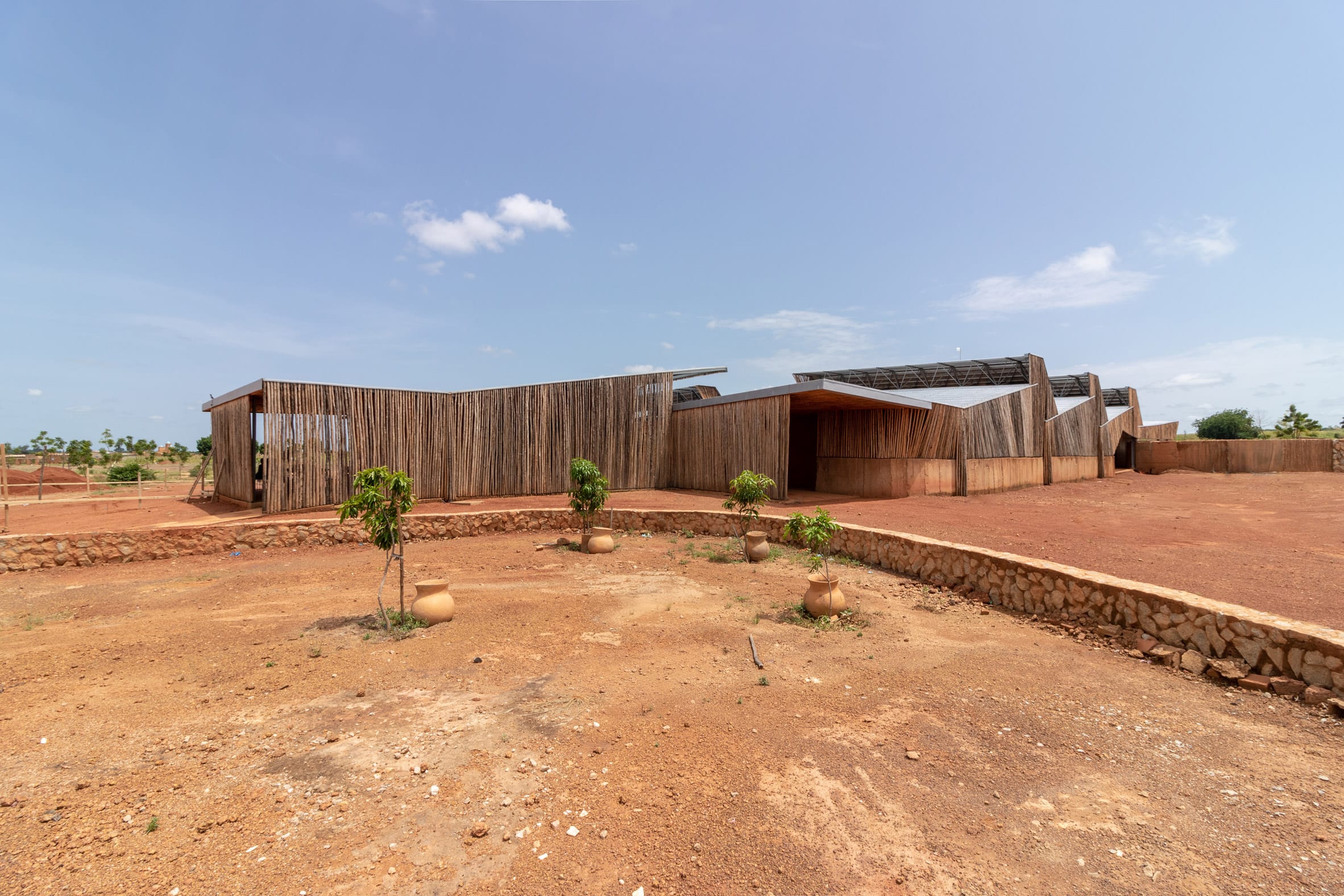 An African university lined with eucalyptus wood