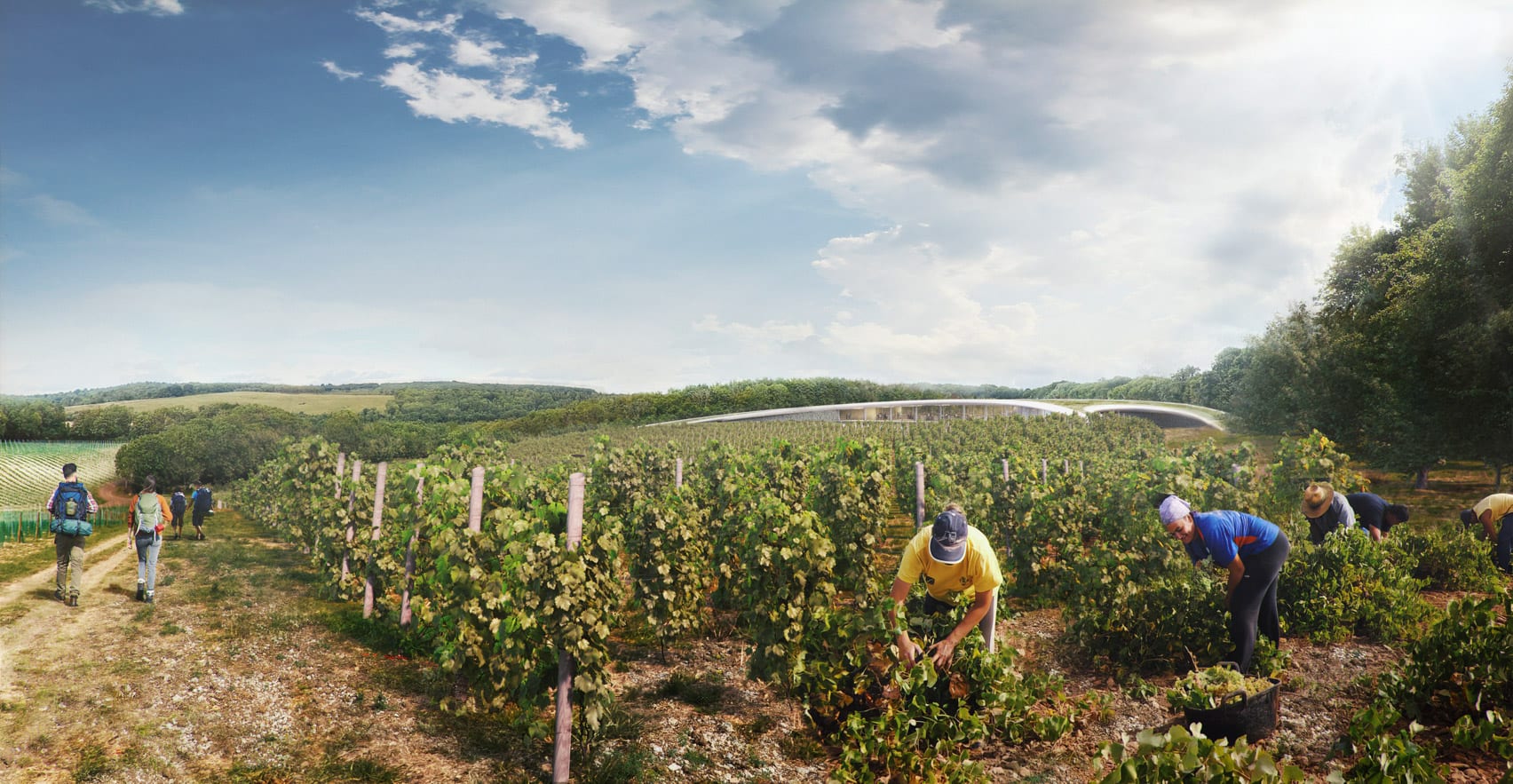 A visual of vineyards outside The Kentish Wine Vault