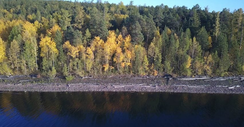 A forest in Siberian Russia next to a body of water