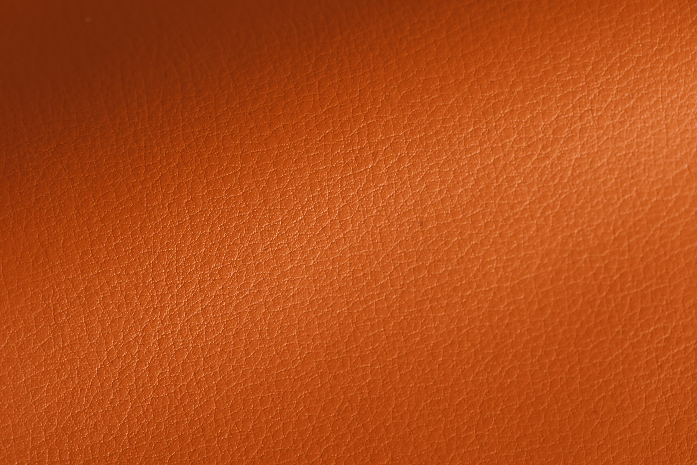 Close-up of texture on Leap leather