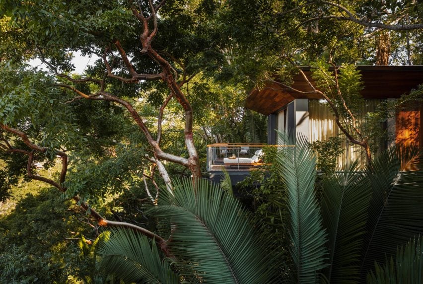 مجموعه Treehouse در میان شاخ و برگ های جنگل های بارانی