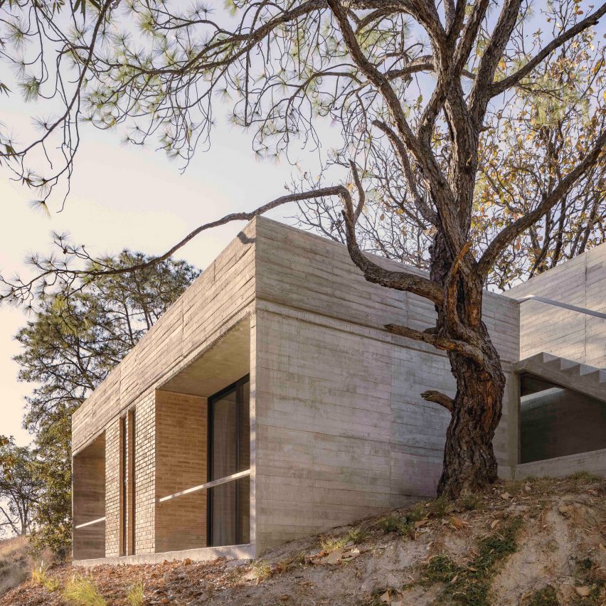 René Pérez Gómez designs concrete retreat in Mexican forest