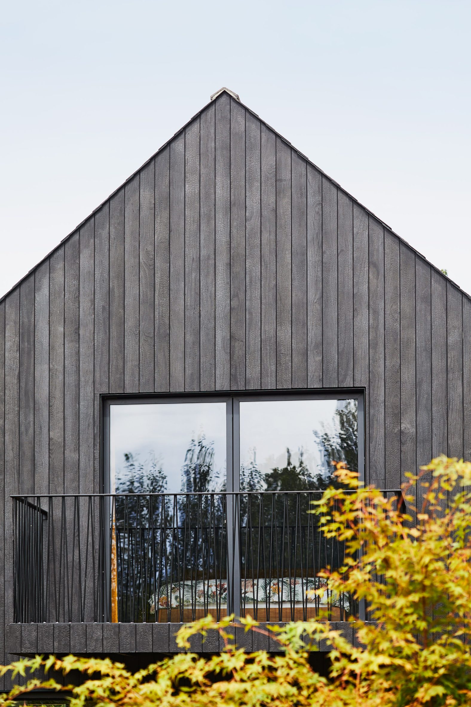 A charred-timber house extension