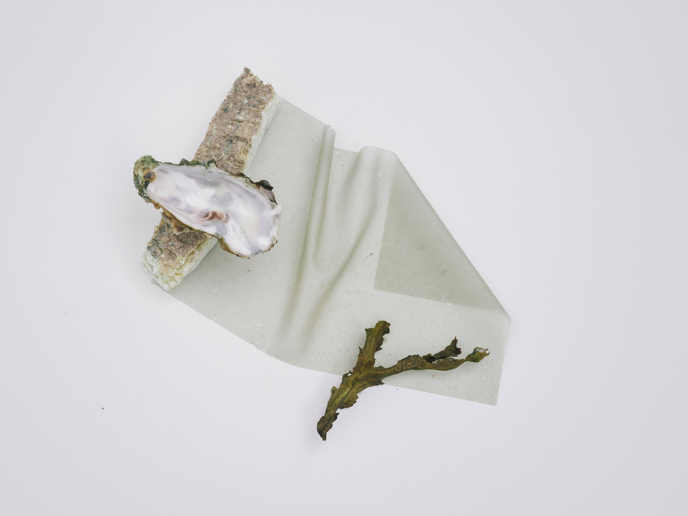 Oyster shell and seaweed textile