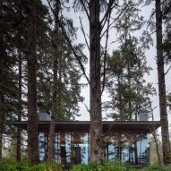 Forest House Canada Olson Kundig Glass