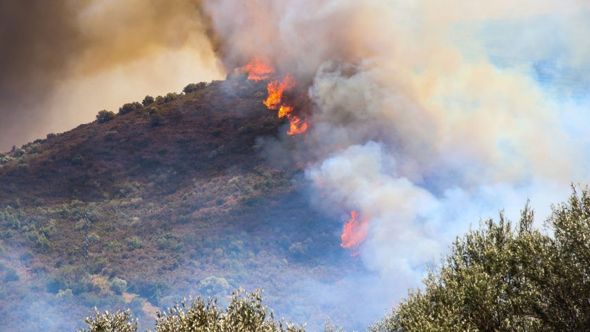 Forest fire in Spain