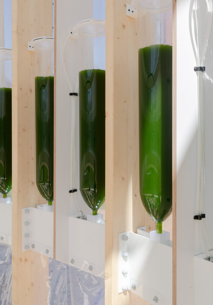 Bioreactors containing fresh green algae cultures for air purification