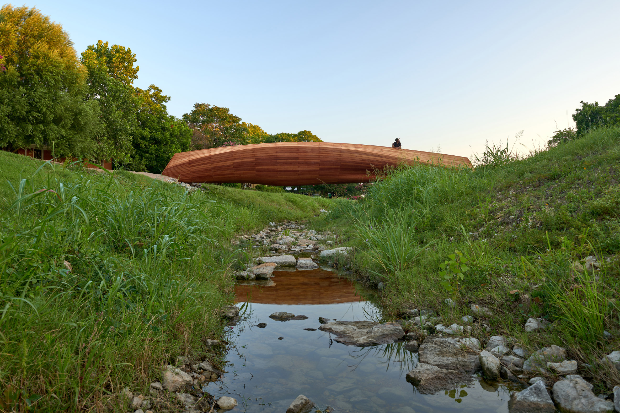 Bridge resembling driftwood