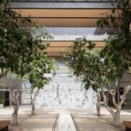 The courtyard of Edmond and Lily Safra Center for Brain Sciences
