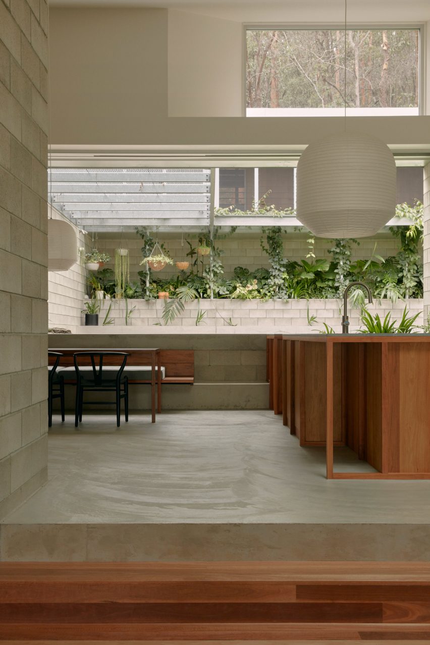 Wooden kitchen by Nielsen Jenkins looking out at courtyard filled with greenery