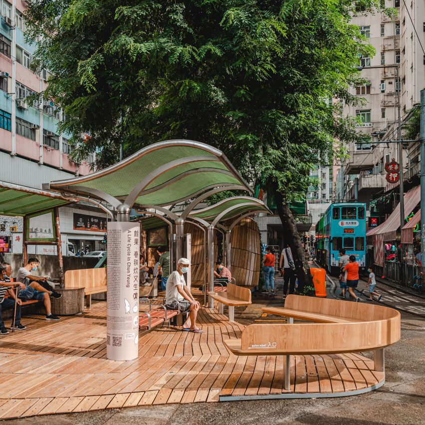 A photograph of a wooden installation called Cycle of Life in Hong Kong