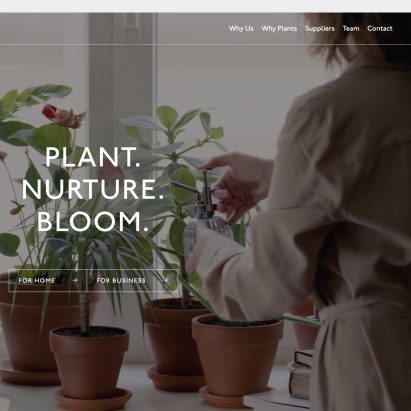 Plant Designs by Plant Designs