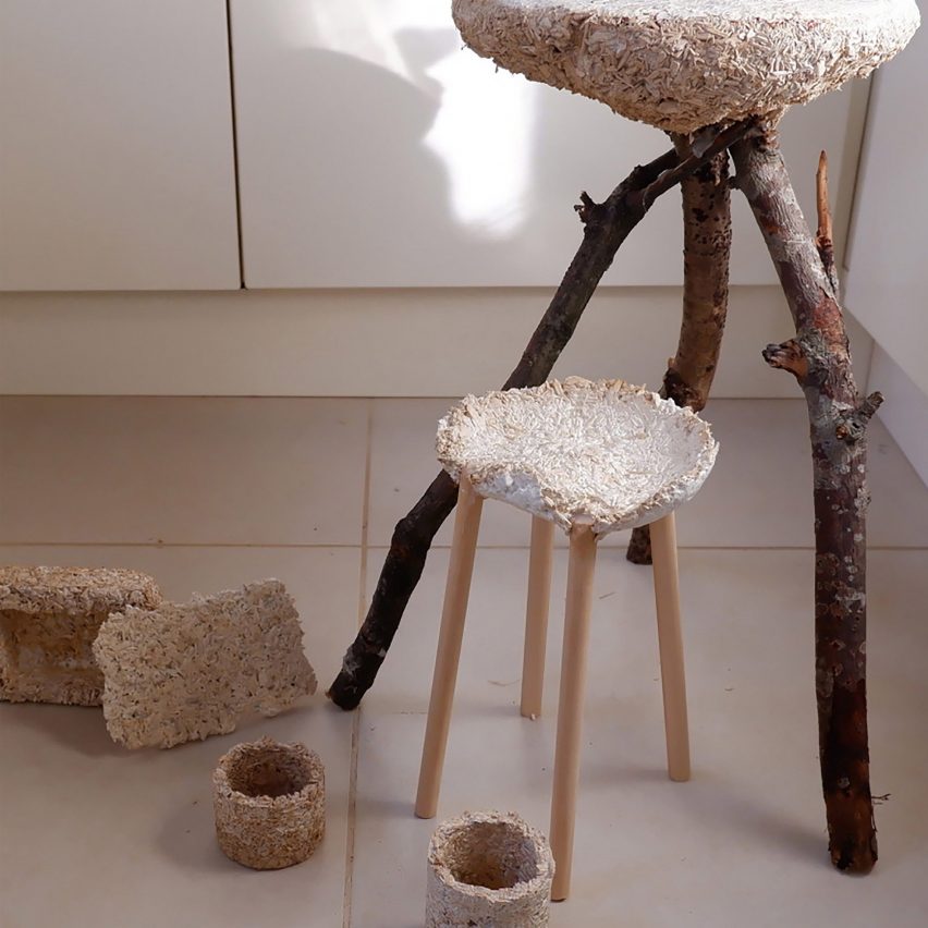 A range of neutral-toned, domestic objects created from fungi 