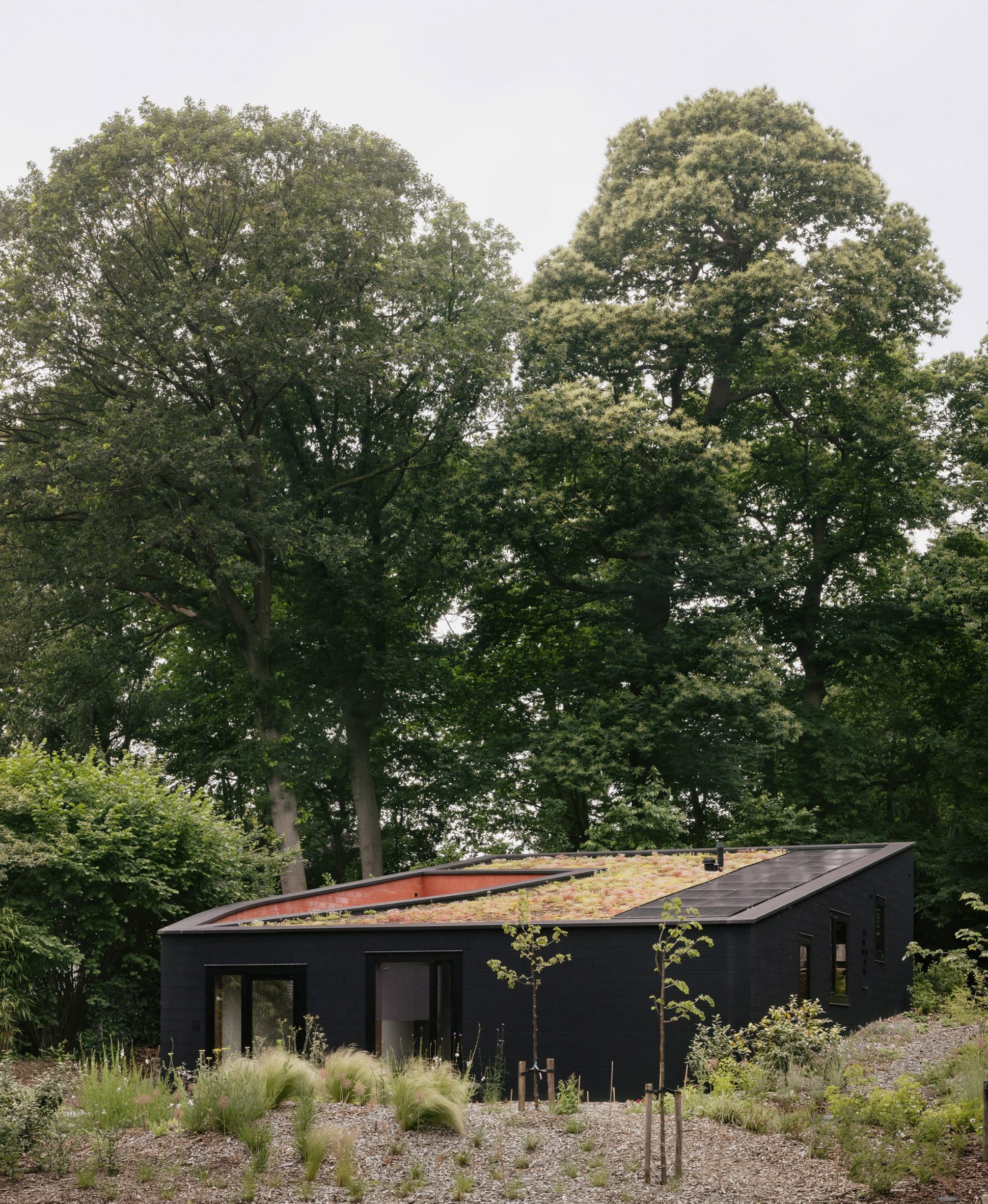 House on sloping terrain