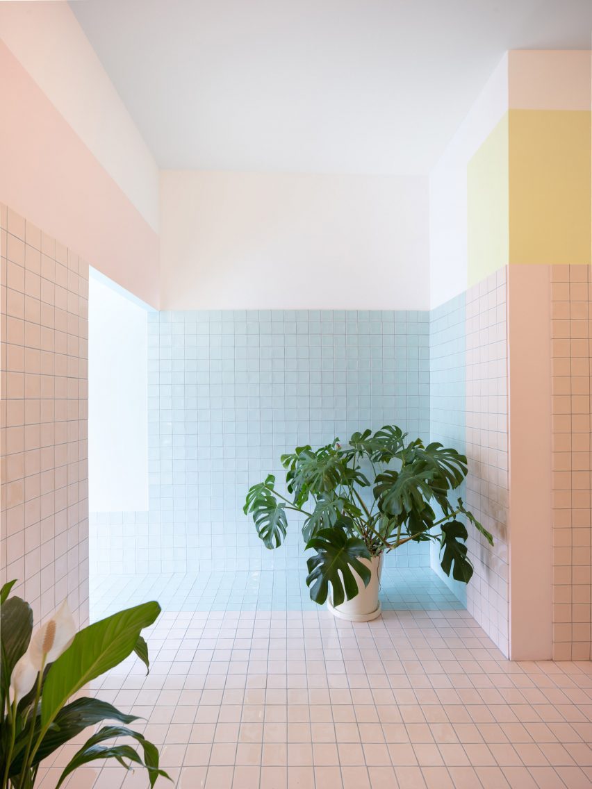 Walls with pastel-coloured tiles and cheese plant in spa interior by Bureau