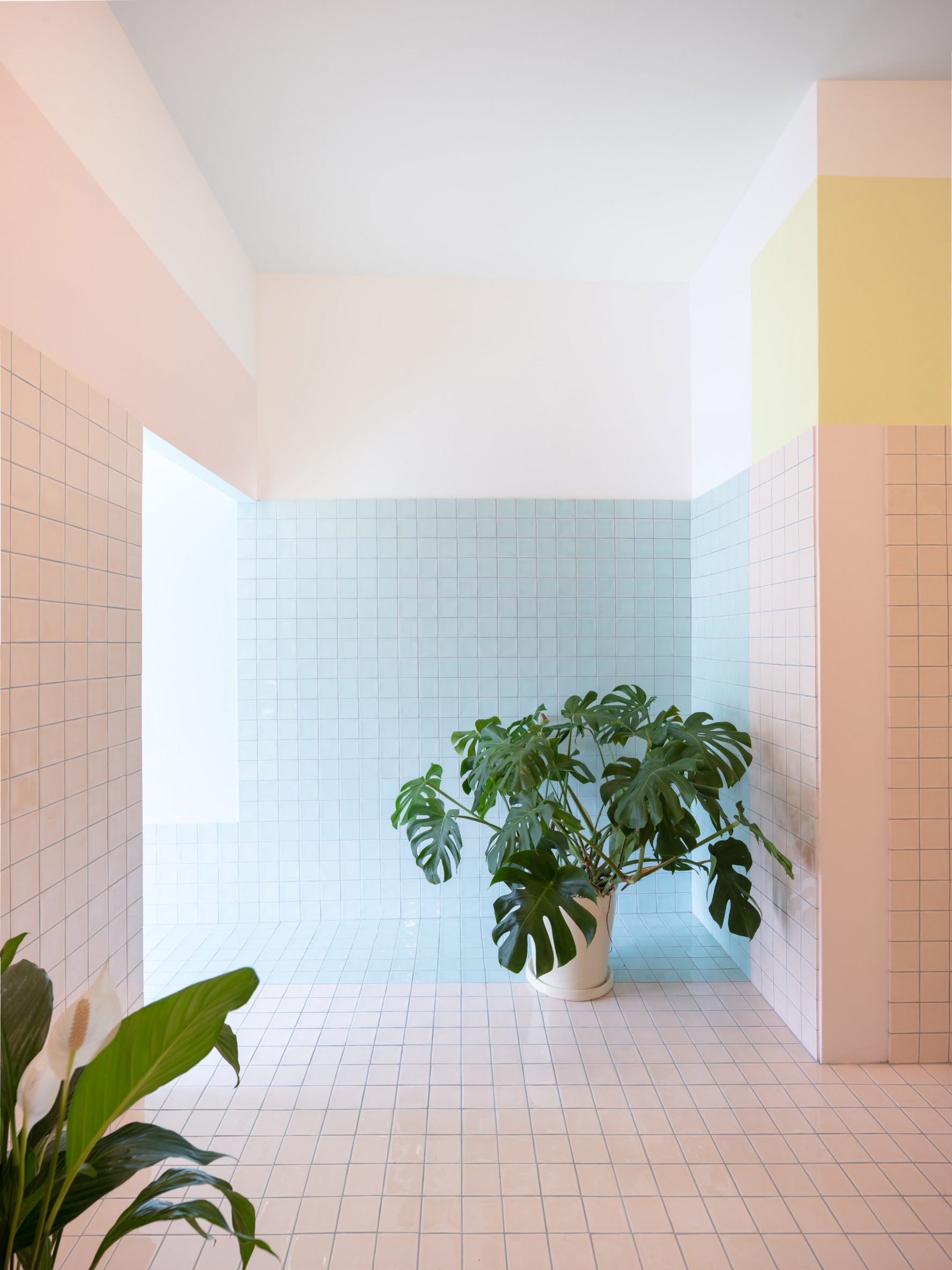 Walls with pastel-coloured tiles and cheese plant in spa interior by Bureau