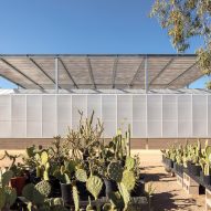 Desert Botanical Garden in Phoenix enclosed with polycarbonate walls