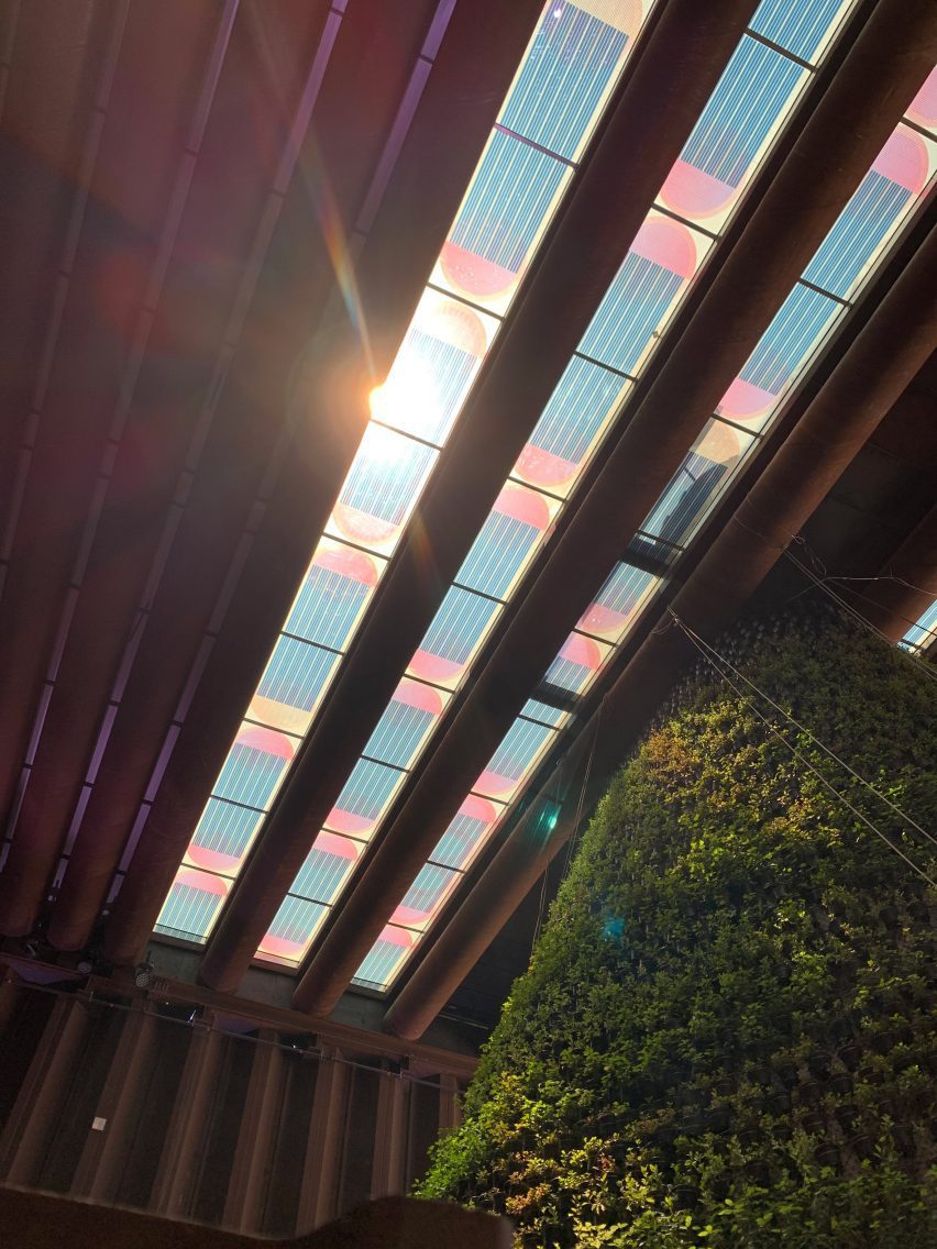Coloured translucent solar panels forming a skylight above a vertical garden