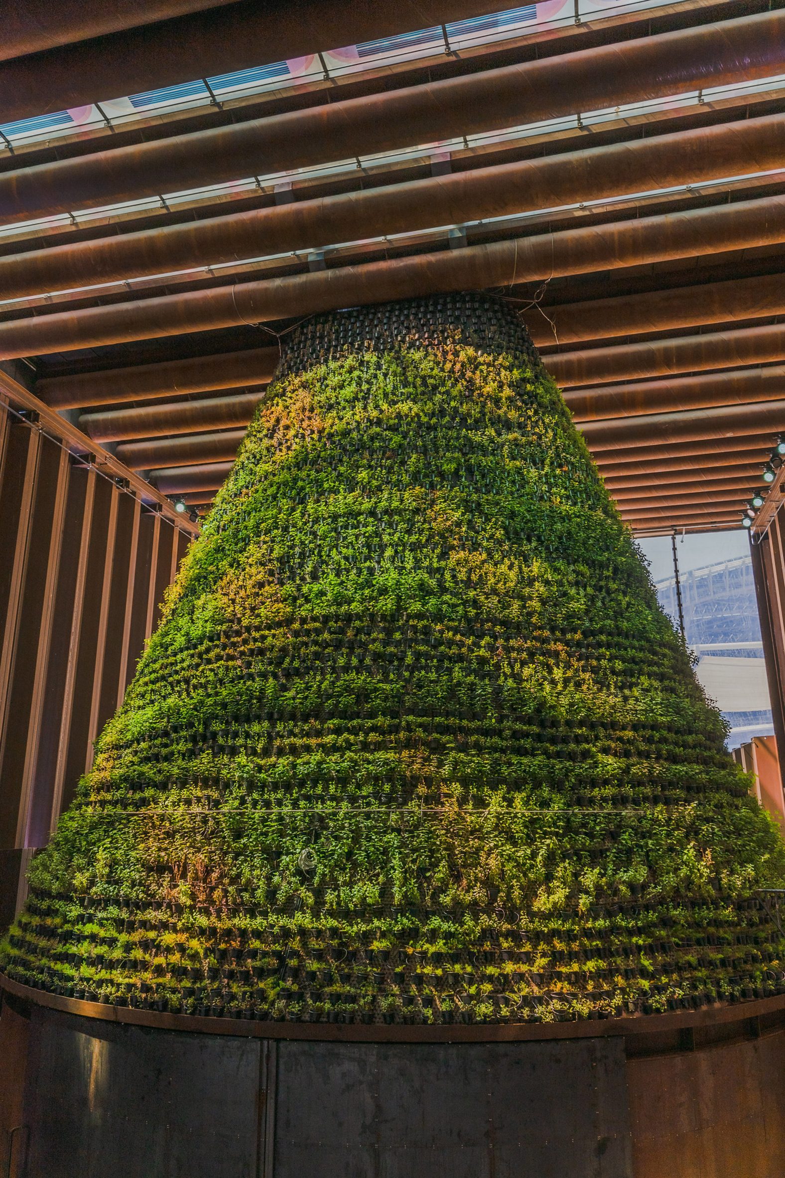 Coloured light falls on a cone-shaped vertical garden in the Dutch pavilion