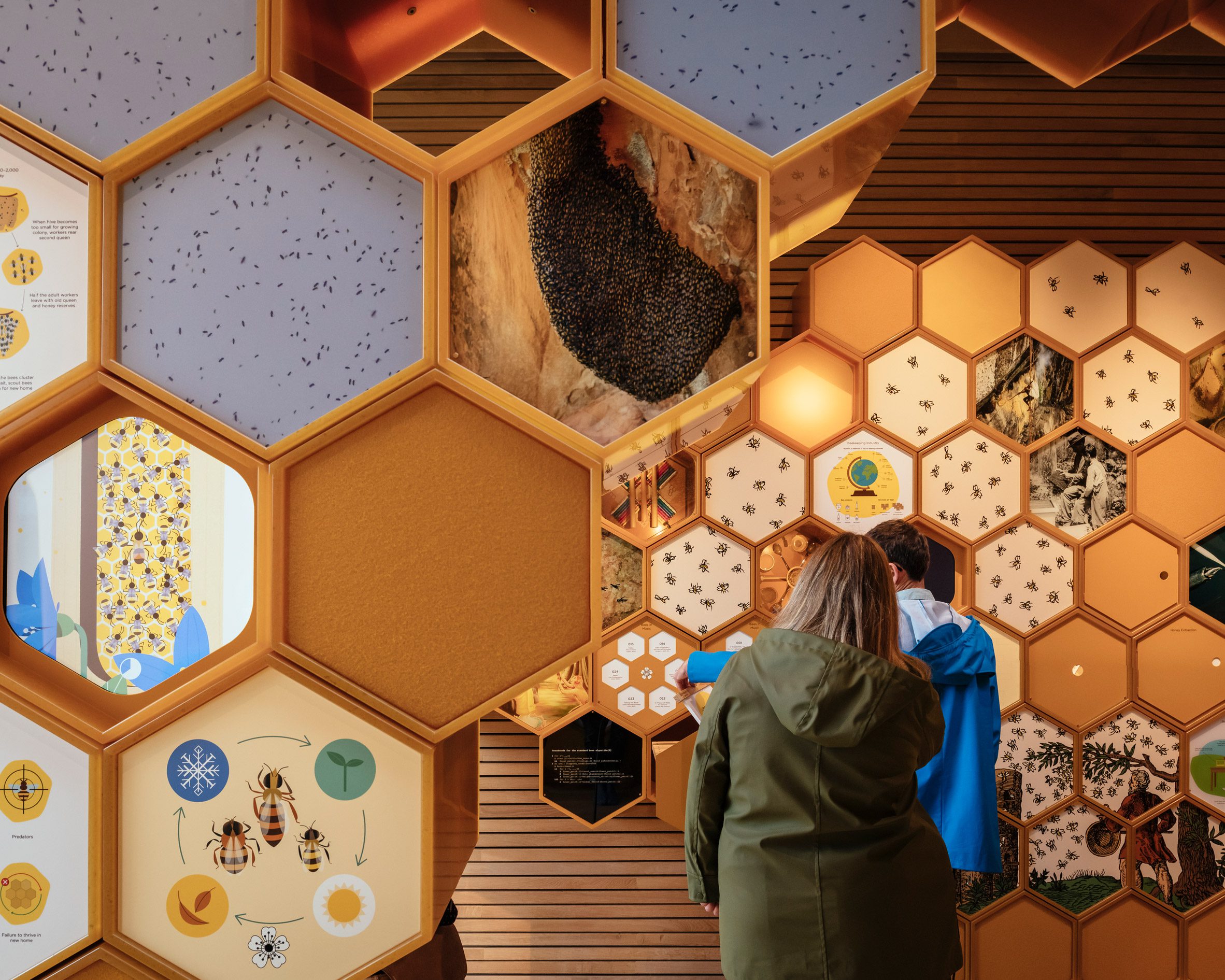 Exhibitions design for The Beezantium by Invisible Studio at The Newt in Somerset