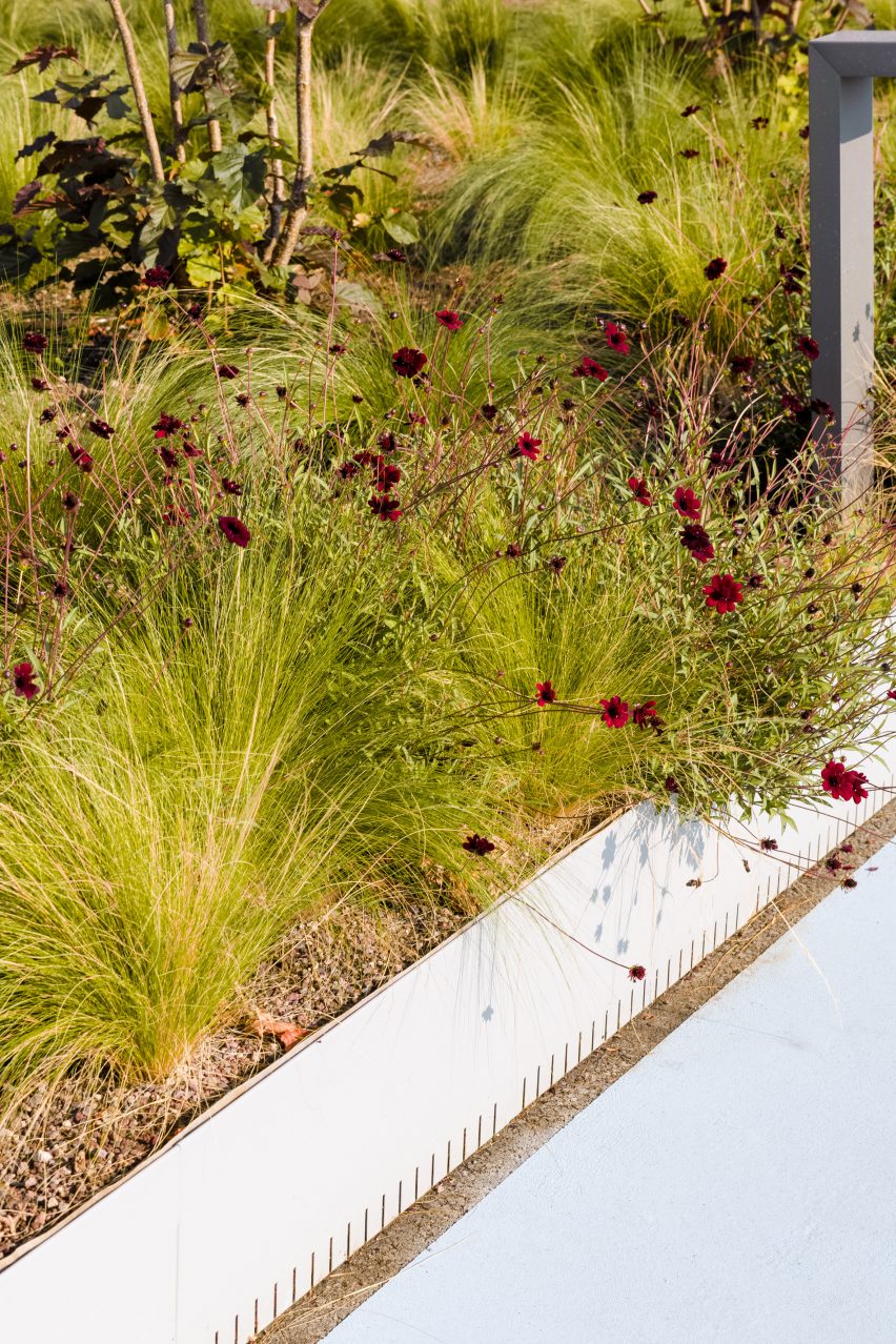 Detail image of grasses and flowers on Lingotto building