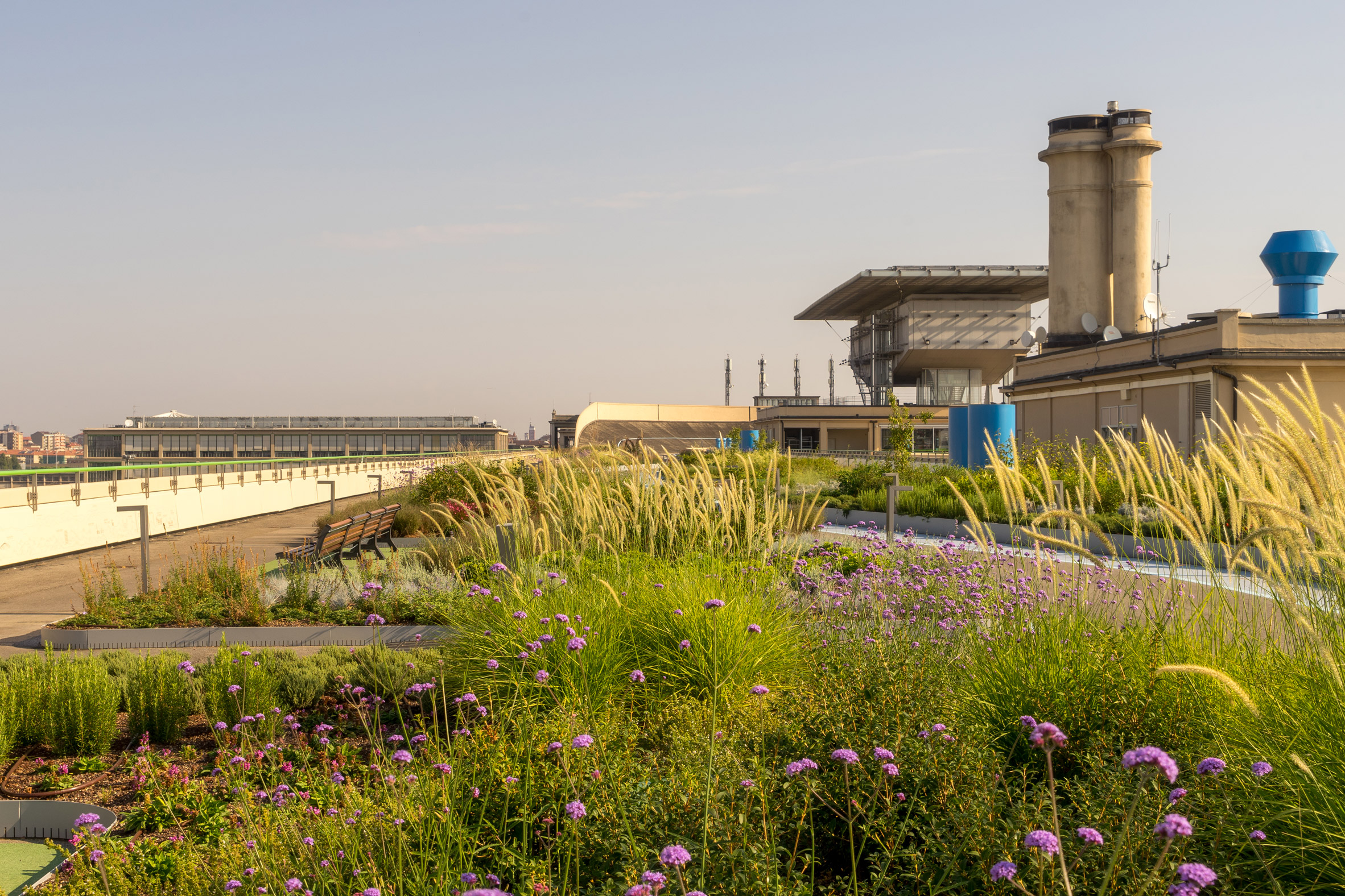 Perennials and grasses are housed in the planters on the Lingotto building's test track