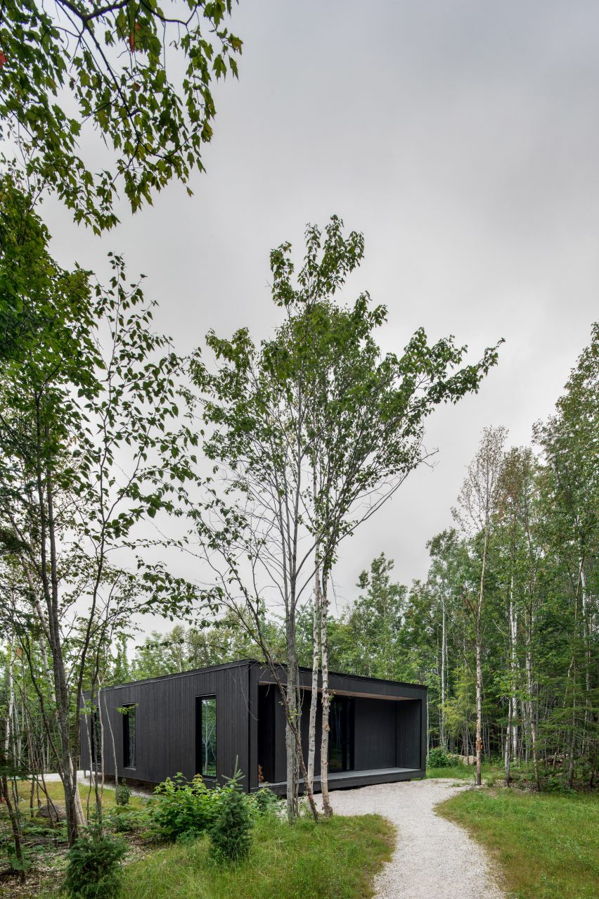 Forest glamp was clad in black vertical panels