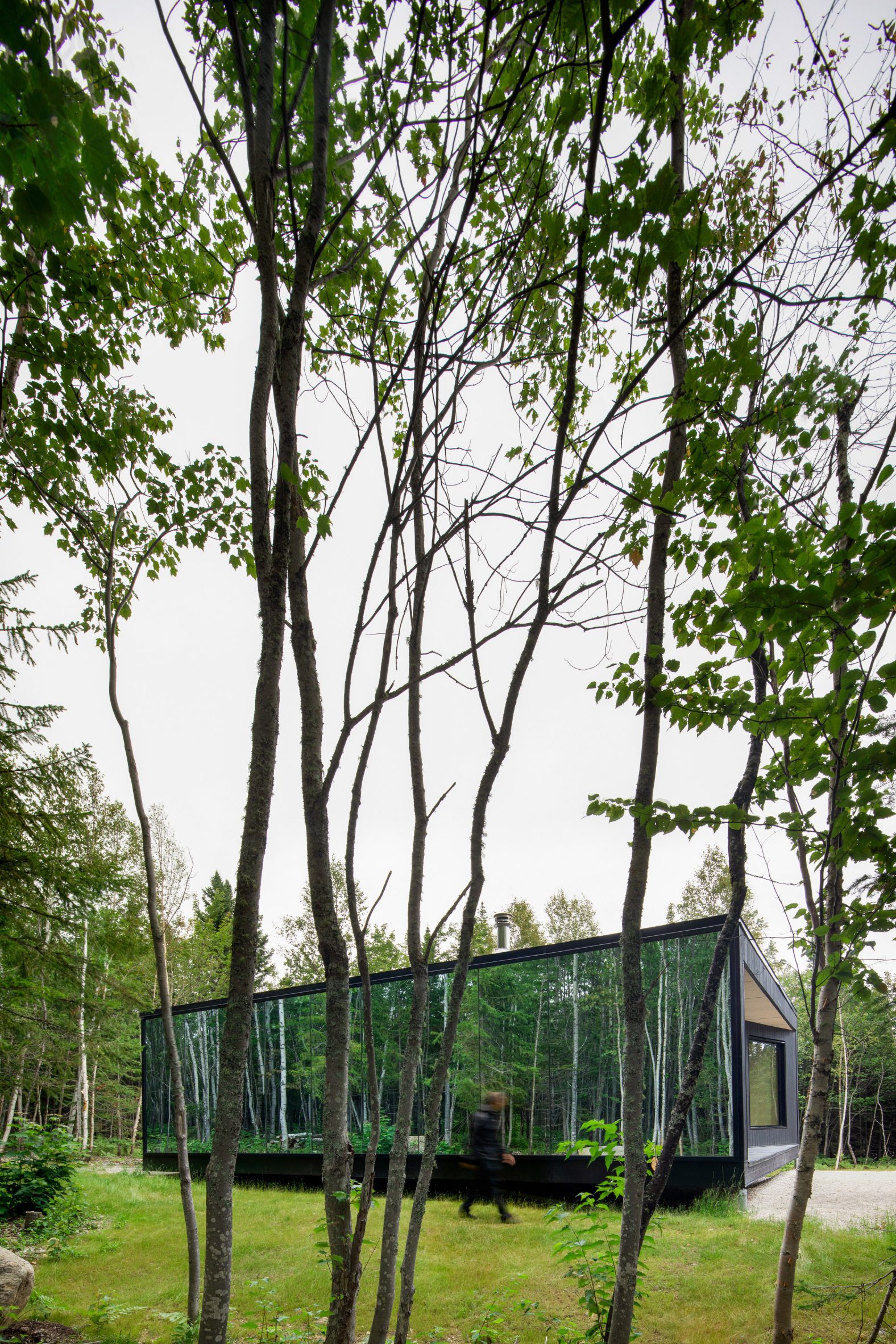 Forest glamp has a reflective glass wall