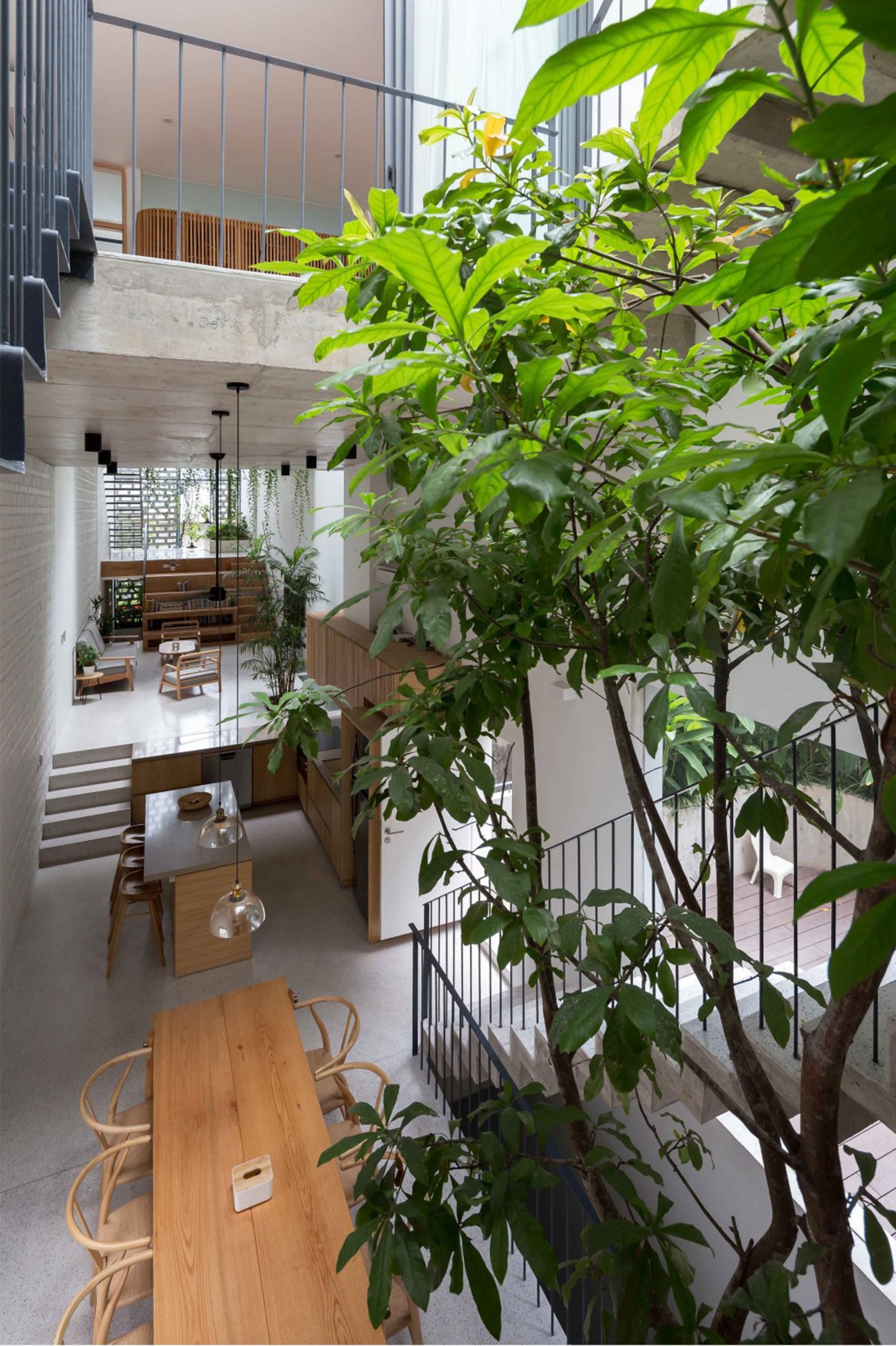 Trees inside CH House by ODDO Architects