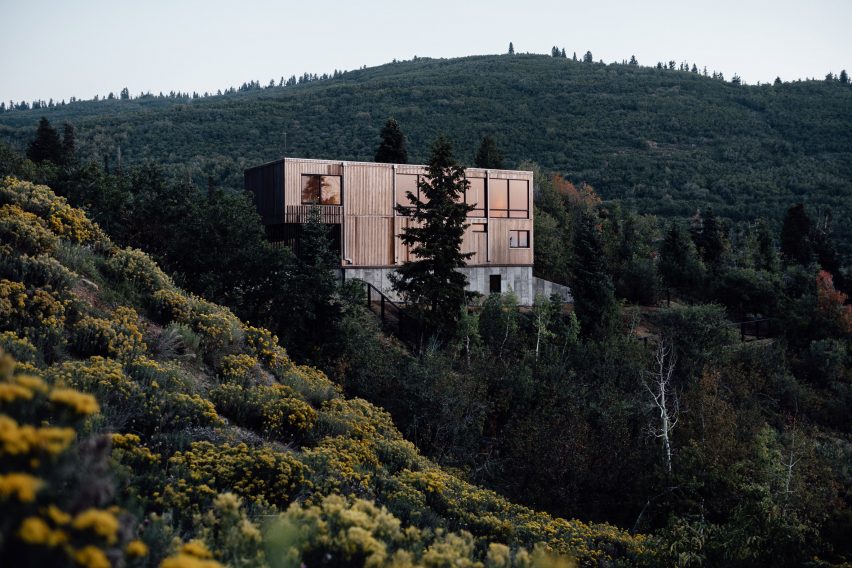 Maple Haus by Klima Architecture