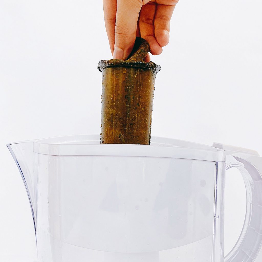 Pratt students create compostable Strøm water filters from food waste - Vimarsana News