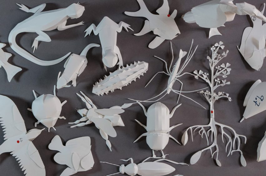 Foto spesies kertas termasuk serangga, katak, dan burung