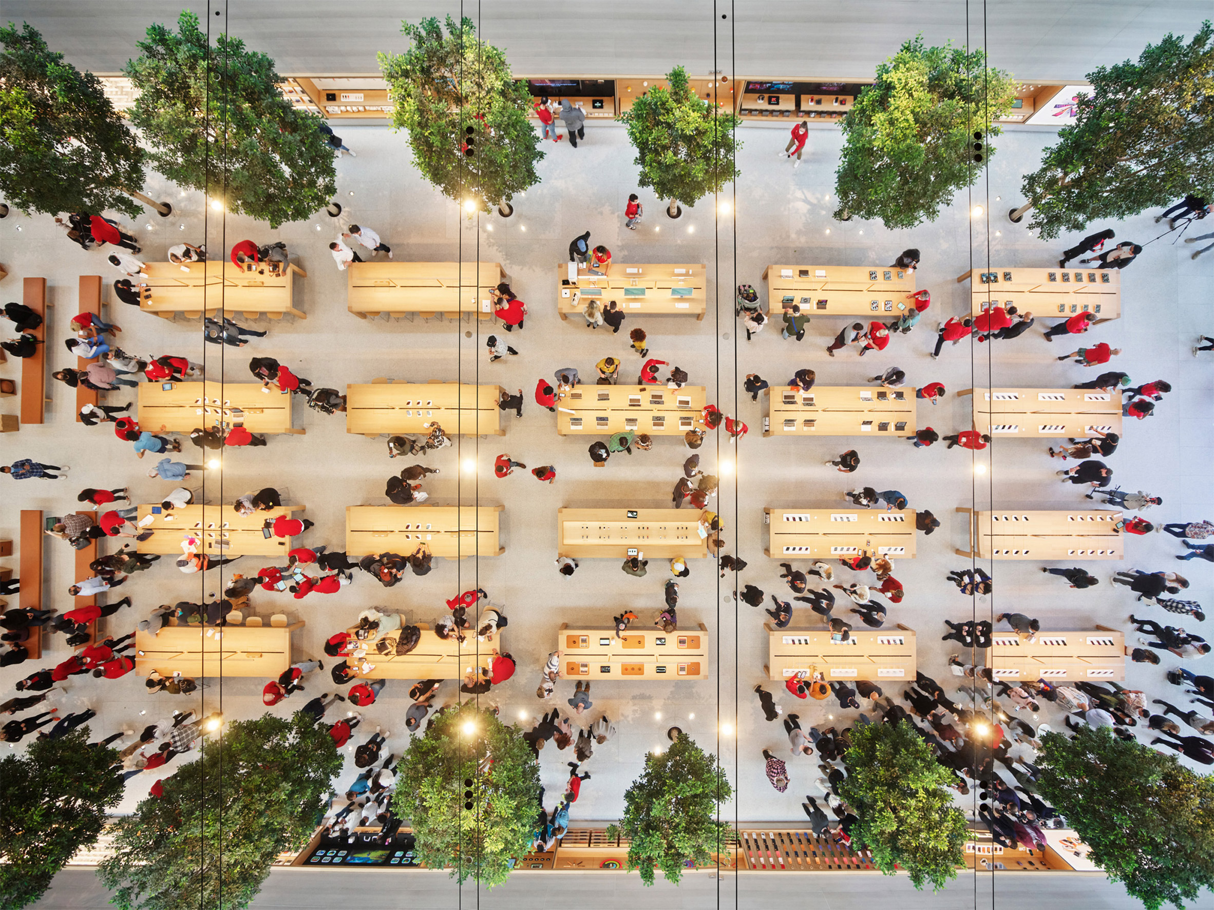 Foster + Partners Open Apple Champs-Élysées Store by Transforming Parisian  Apartment