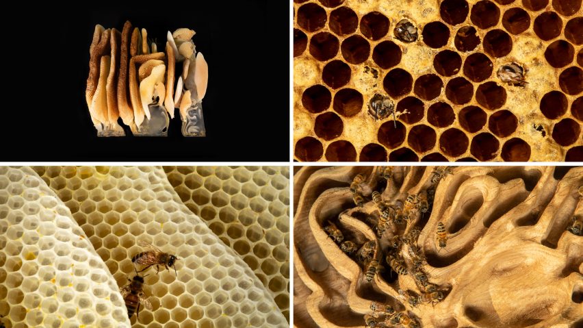 A collage of different honeycombs with bees