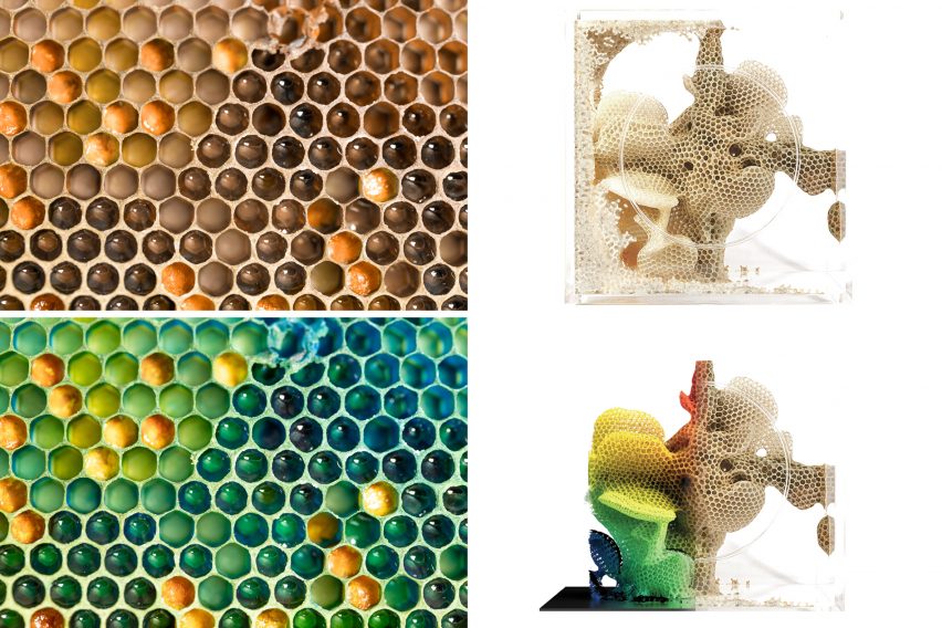 A collage of four pictures of green and yellow honeycomb structures