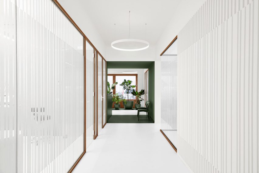 White hallway in Dentista clinic leading to khaki-green receiption