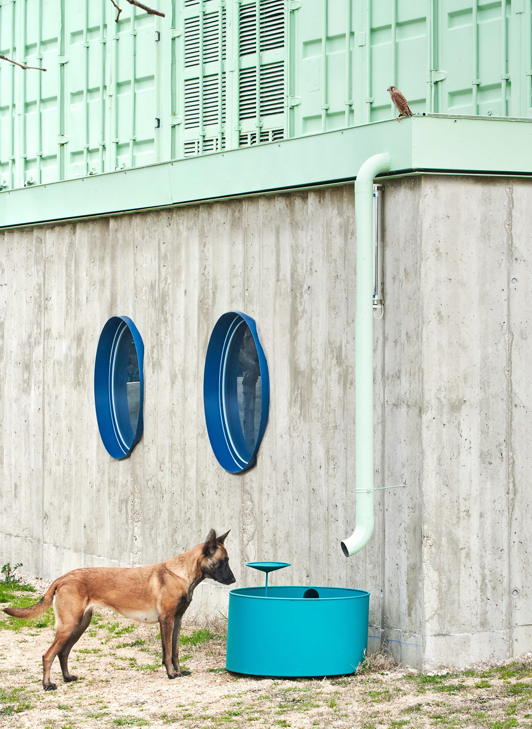 Water trough at Educan school for dogs, humans and other species