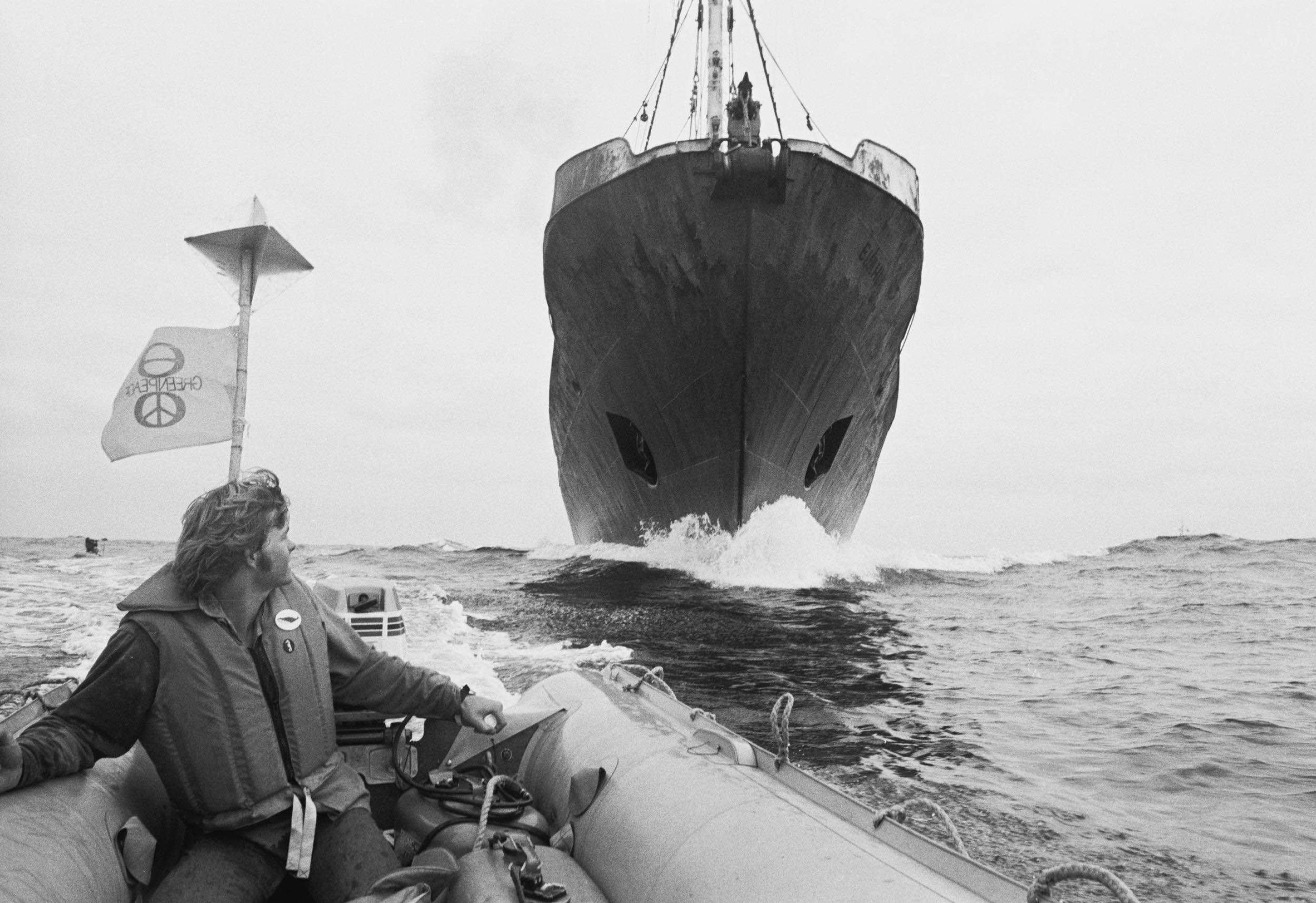  Mike Bailey, Greenpeace, blockading Russian harpoon ship in 1976 