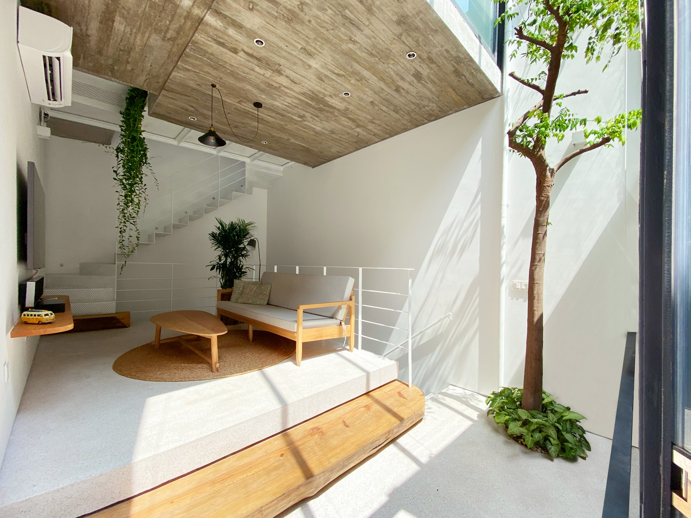 Living room and tree in TH House by ODDO Architects
