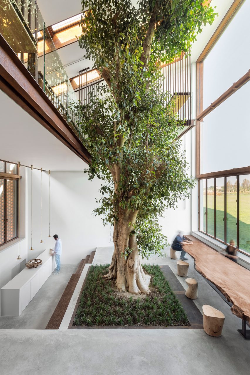 Living room containing tree