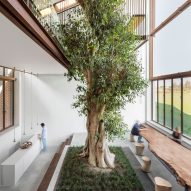 Carlo Ratti and Italo Rota design Italian home around 10-metre-tall tree