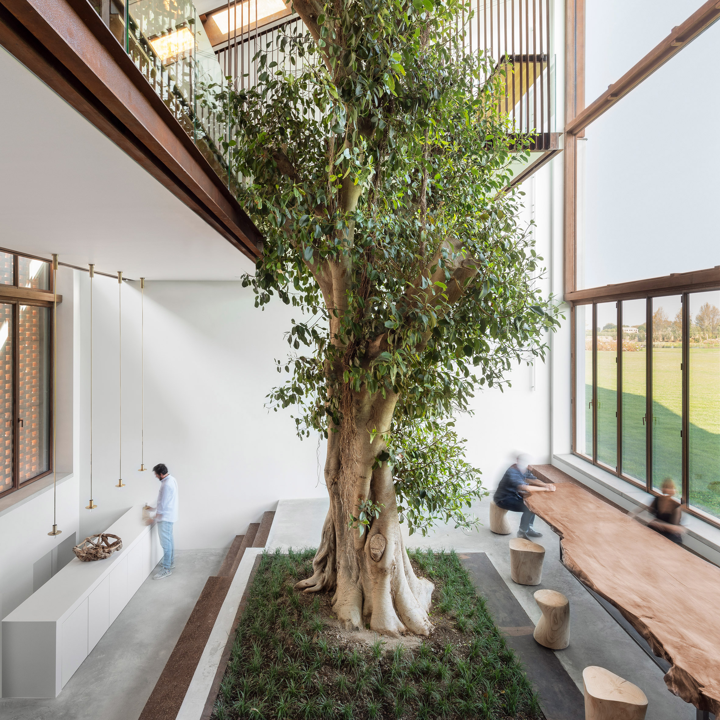 10 Ways to Add Biophilic Design Elements to Your Home - PLANT THE FUTURE